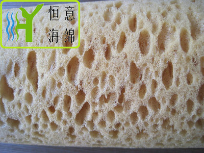 J013 &nbsp;海藻绵（cellulose sponge）