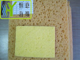 J049  纤维素沐浴海棉(cellulose bathing sponge)