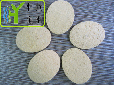 J042 &nbsp;压缩清洁海棉（Compressed cleaning sponge)